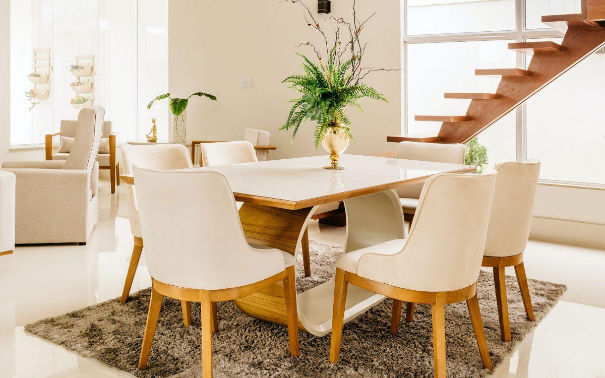 Plantas para decorar el interior de tu casa
