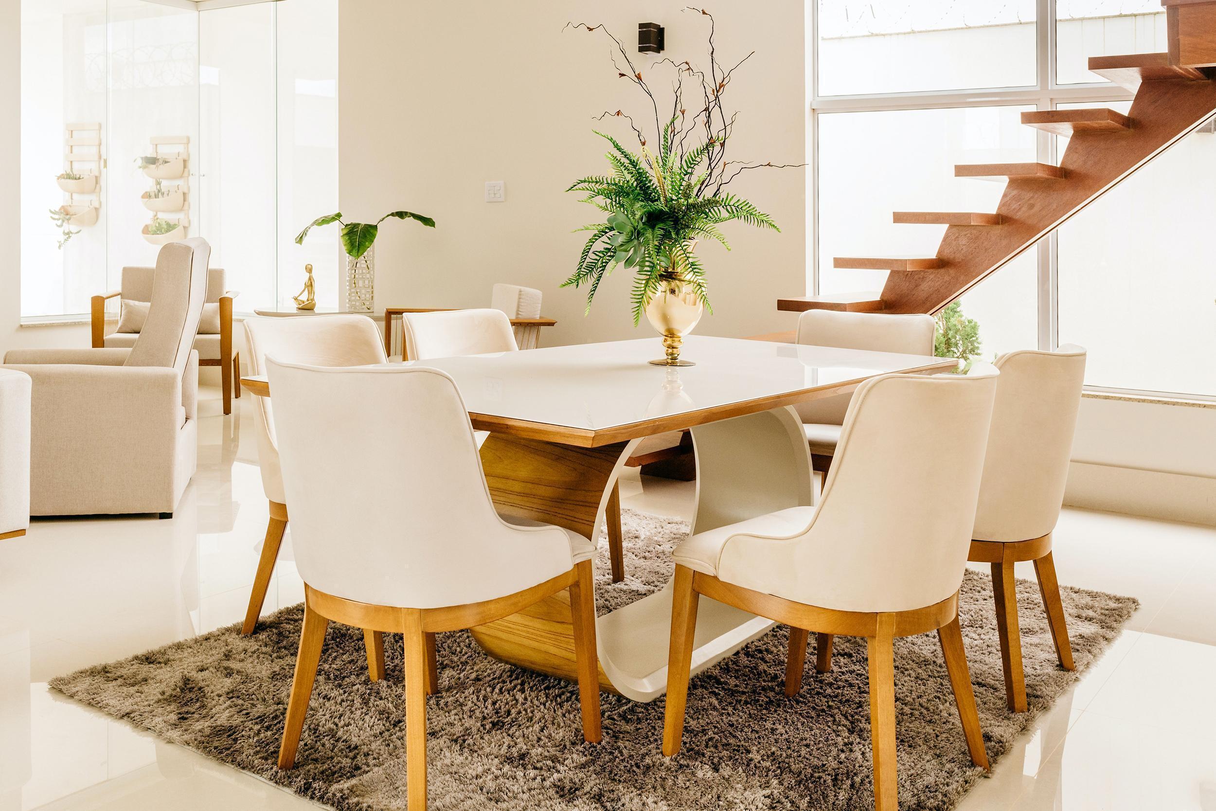 anfein-plantas-interior